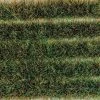 PECO Water Meadow Grass Tuft Strips 10mm High Self Adhesive -Walthers shop 66 PSG48 1000x1000 1
