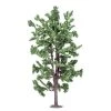 HORNBY HO/OO Classic Trees Lime Tree 18.5cm 1 HORNBY HO/OO Classic Trees Lime Tree 18.5cm -Walthers shop 69 R7210 1000x1000 3f2037d4 eee0 49cc a454 c8d5ae89e29c