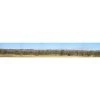 HASKELL Scenic Backdrop Barinore 8NA 22.5 Cm X 130 Cm -Walthers shop Barinore.19495346 std