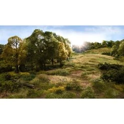 WOODLAND SCENICS Static Grass Starter Kit -Walthers shop FS647 f 3