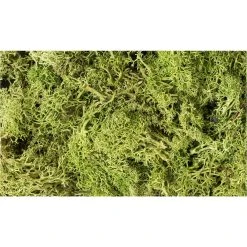 WOODLAND SCENICS Light Green Lichen
