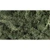 WOODLAND SCENICS Dark Green Lichen -Walthers shop L164 f 1