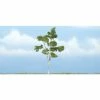 WOODLAND SCENICS 4 1/8" Premium Paper Birch (1/Pk) -Walthers shop TR1616 f 1
