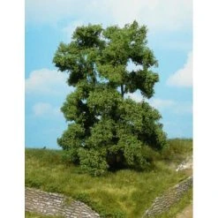 HEKI 1 Local Ash Tree 15cm