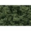 WOODLAND SCENICS Med Green Clump Foliage (Bag) 2 WOODLAND SCENICS Med Green Clump Foliage (Bag) -Walthers shop wsfc183 3373c514 ba9b 4d07 828c 3ae437098d0d