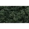 WOODLAND SCENICS Dark Green Clump Foliage -Walthers shop wsfc684