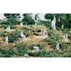 WOODLAND SCENICS Broken Stumps 14/Pkg 1 WOODLAND SCENICS Broken Stumps 14/Pkg -Walthers shop wss32 1a31269c 4a47 465b adbc 42b11f47dbcb